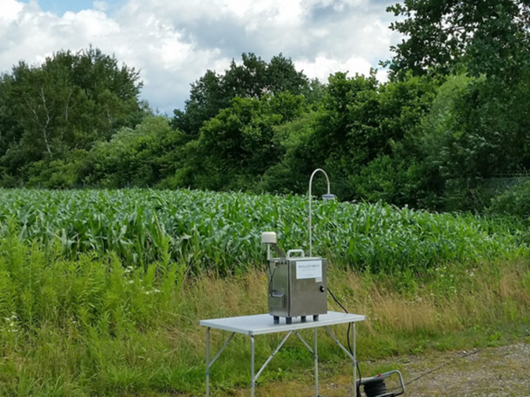 Bioaerosols, Immission measurements